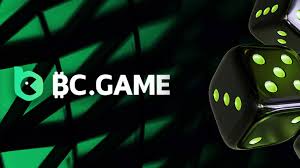 Login Issues on BC.Game in the USA Troubleshooting and Solutions -699454247
